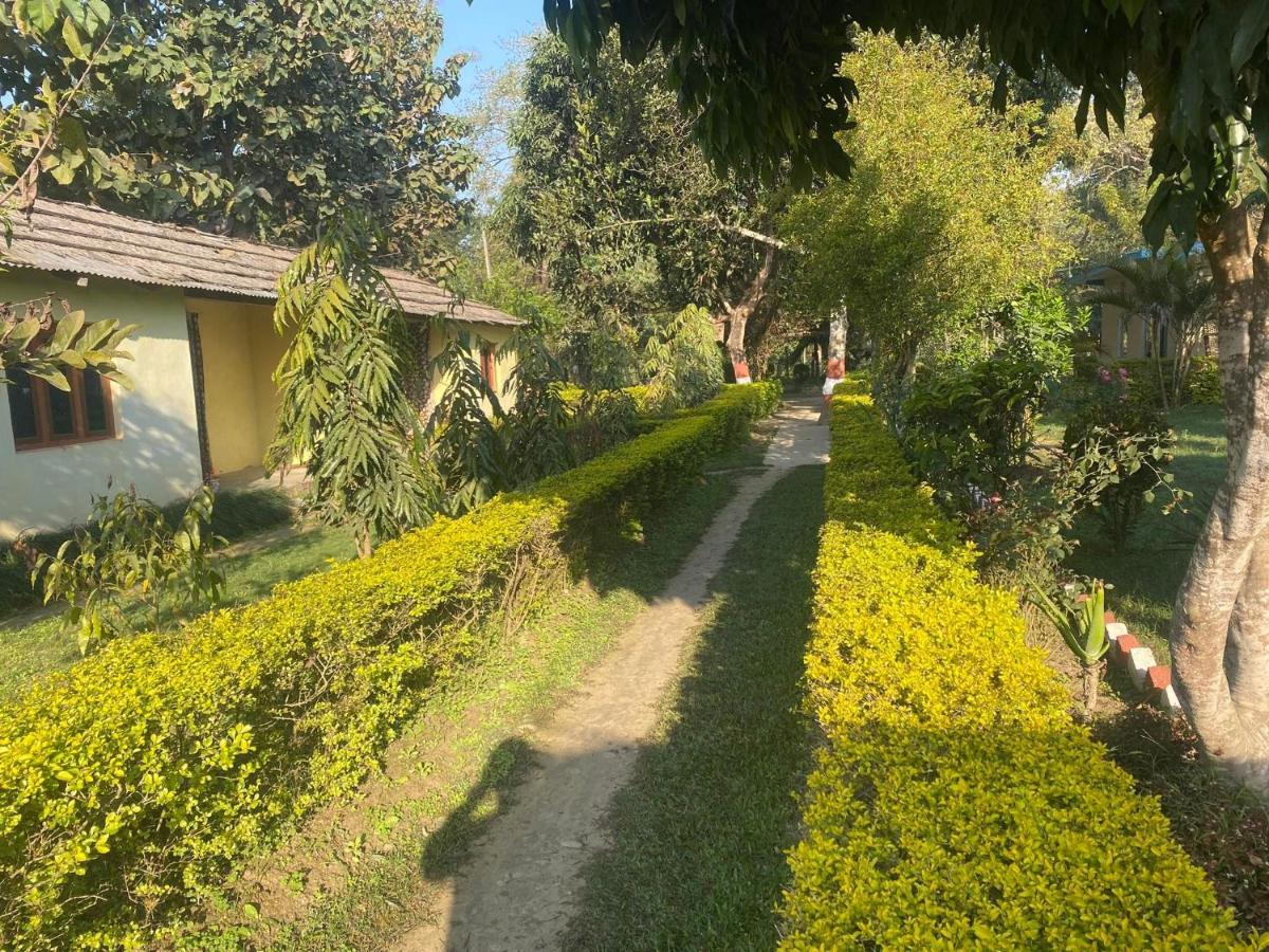 Golden River Of Wild Side Hotel Bardiya Luaran gambar